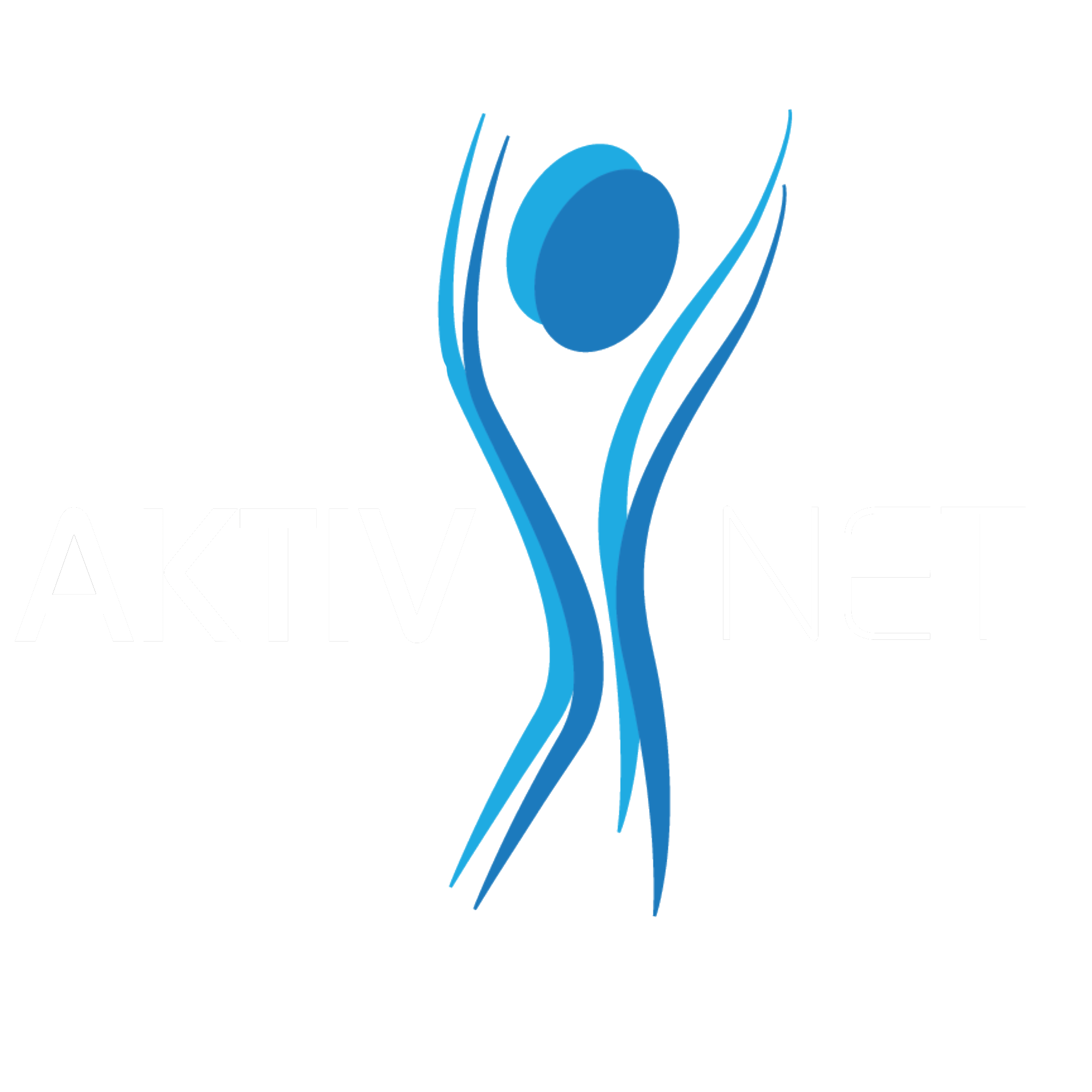 AktivNet
